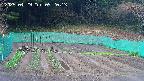 kannonmori-20250429092014.jpg