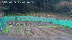 kannonmori-20250429093016.jpg