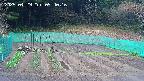 kannonmori-20250429094017.jpg