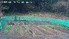 kannonmori-20250429095017.jpg