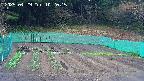 kannonmori-20250429102016.jpg