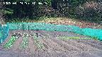 kannonmori-20250429103016.jpg