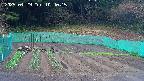 kannonmori-20250429104017.jpg