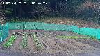 kannonmori-20250429105016.jpg