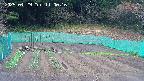 kannonmori-20250429110017.jpg