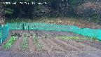 kannonmori-20250429125016.jpg