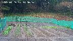 kannonmori-20250429140017.jpg