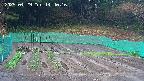 kannonmori-20250429144017.jpg
