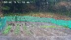 kannonmori-20250429145015.jpg