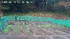 kannonmori-20250429150017.jpg