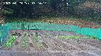 kannonmori-20250429151015.jpg