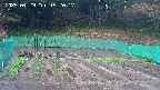 kannonmori-20250429152018.jpg
