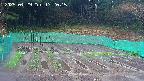 kannonmori-20250429172016.jpg
