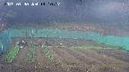 kannonmori-20250430141018.jpg