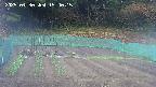 kannonmori-20250430154016.jpg