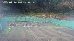 kannonmori-20250430155015.jpg