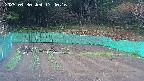 kannonmori-20250430174016.jpg