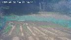 kannonmori-20250501131014.jpg