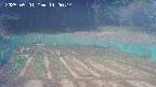 kannonmori-20250501140015.jpg