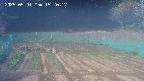 kannonmori-20250501152017.jpg