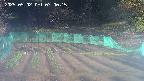 kannonmori-20250502070016.jpg