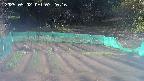kannonmori-20250502072016.jpg