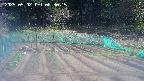 kannonmori-20250502083016.jpg