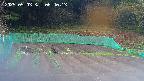 kannonmori-20250503064014.jpg