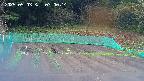 kannonmori-20250503070015.jpg
