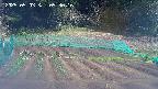 kannonmori-20250503093017.jpg