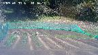kannonmori-20250503104015.jpg
