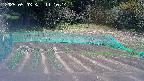 kannonmori-20250503111016.jpg
