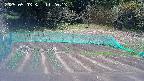 kannonmori-20250503112016.jpg