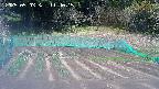 kannonmori-20250503114017.jpg