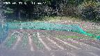 kannonmori-20250503115016.jpg