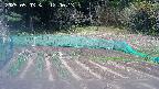 kannonmori-20250503120016.jpg