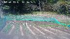 kannonmori-20250503122016.jpg
