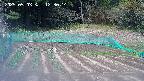 kannonmori-20250503123017.jpg