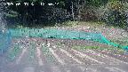 kannonmori-20250503125017.jpg