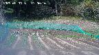 kannonmori-20250503130018.jpg