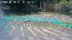 kannonmori-20250503131017.jpg