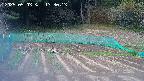 kannonmori-20250503133017.jpg