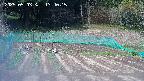kannonmori-20250503134018.jpg