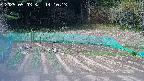 kannonmori-20250503141014.jpg