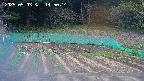 kannonmori-20250503145018.jpg