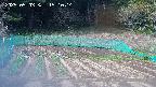 kannonmori-20250503151017.jpg