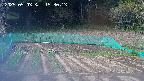 kannonmori-20250503153015.jpg