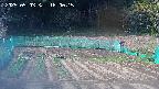 kannonmori-20250503160017.jpg