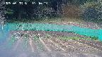kannonmori-20250503174015.jpg