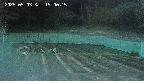 kannonmori-20250503190017.jpg
